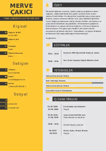 Laboratuvar Teknisyeni Cv Örnekleri cv indir